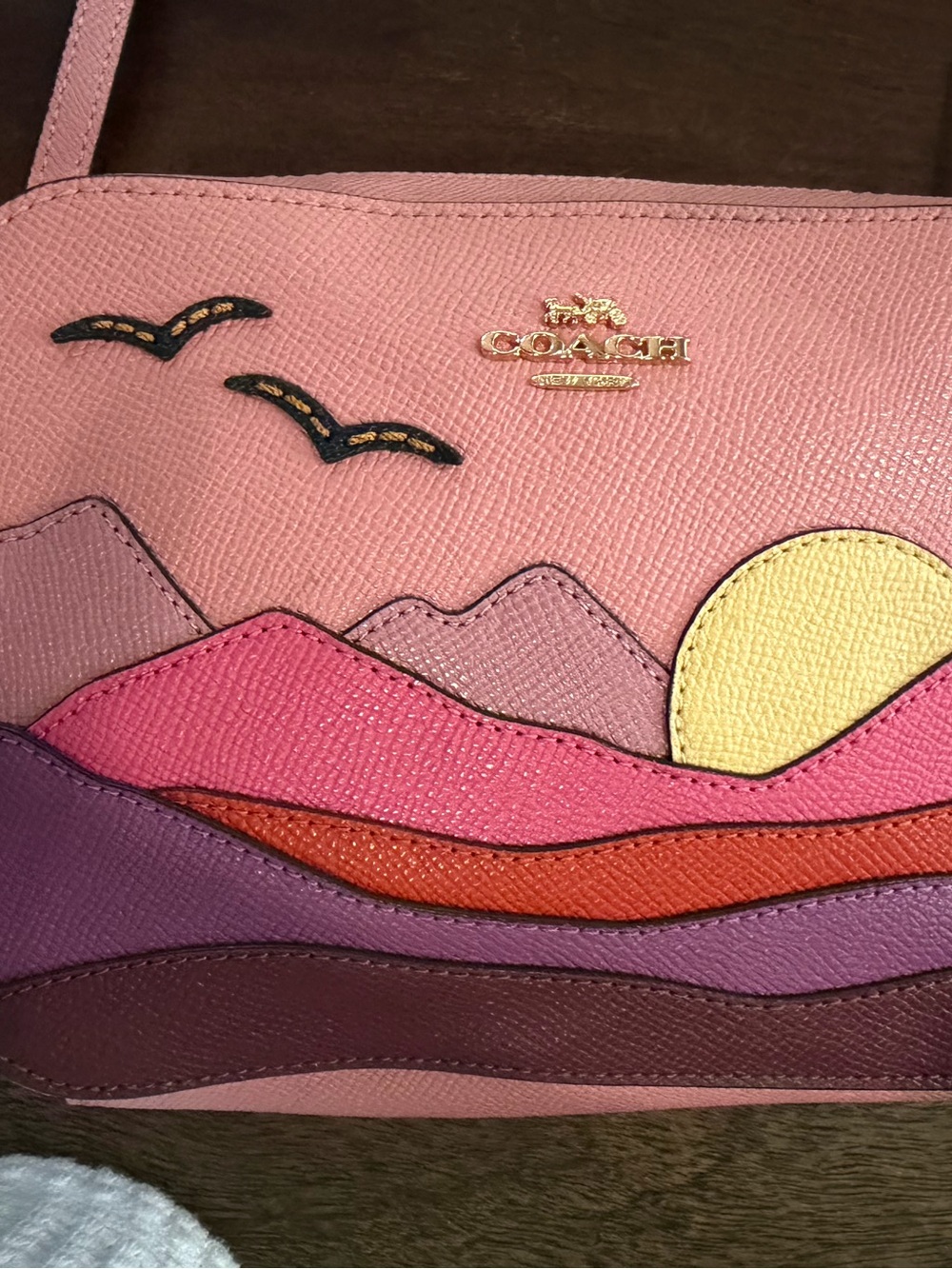 MINI CAMERA BAG WITH MOUNTAIN POSTCARD NWOT - Picture 5 of 10